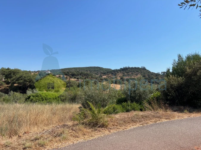 Terreno Agricola ou Rústico para Venda em São Bartolomeu de Messines Foto 5
