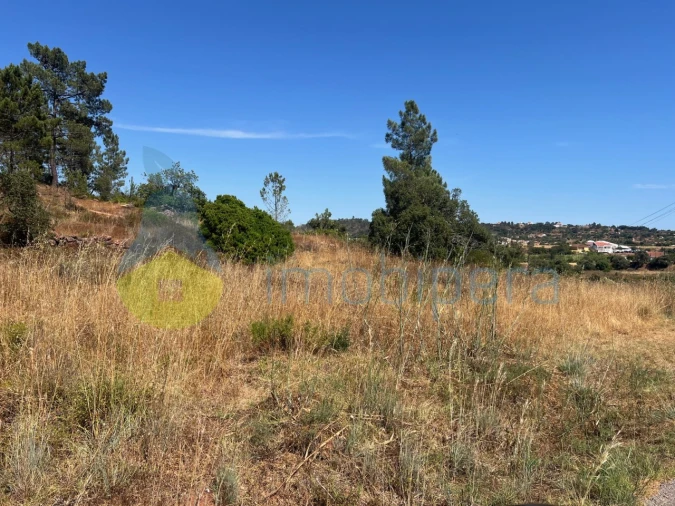 Terreno Agricola ou Rústico para Venda em São Bartolomeu de Messines Foto 6