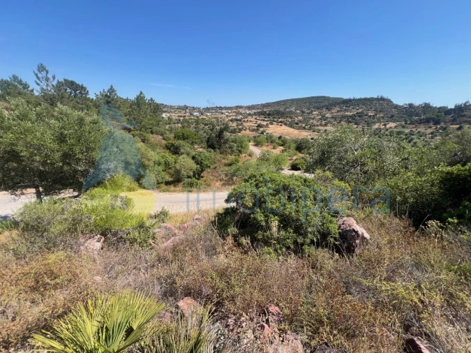 Terreno Agricola ou Rústico para Venda em São Bartolomeu de Messines Foto 9