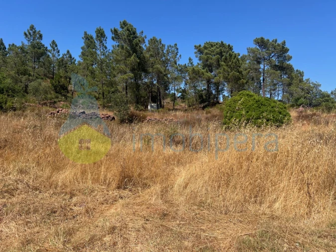 Terreno Agricola ou Rústico para Venda em São Bartolomeu de Messines Foto 15