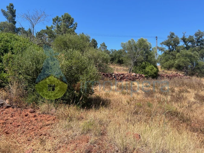 Terreno Agricola ou Rústico para Venda em São Bartolomeu de Messines Foto 22