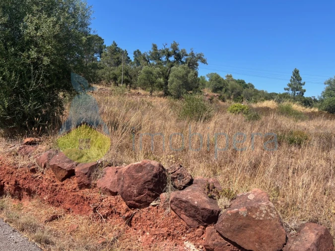 Terreno Agricola ou Rústico para Venda em São Bartolomeu de Messines Foto 26