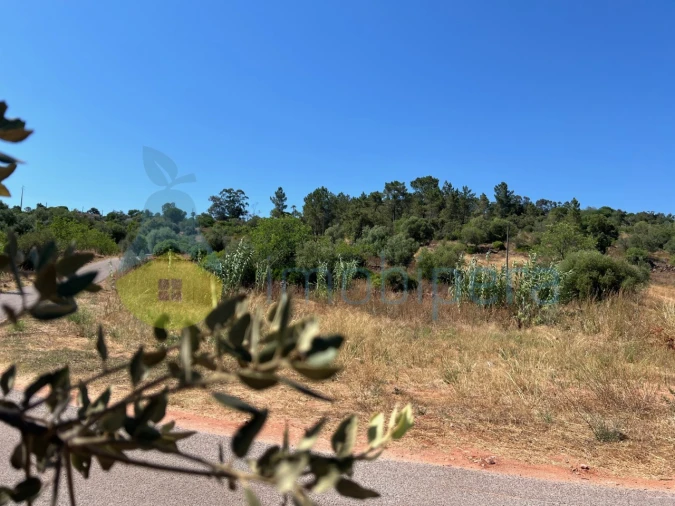 Terreno Agricola ou Rústico para Venda em São Bartolomeu de Messines Foto 31