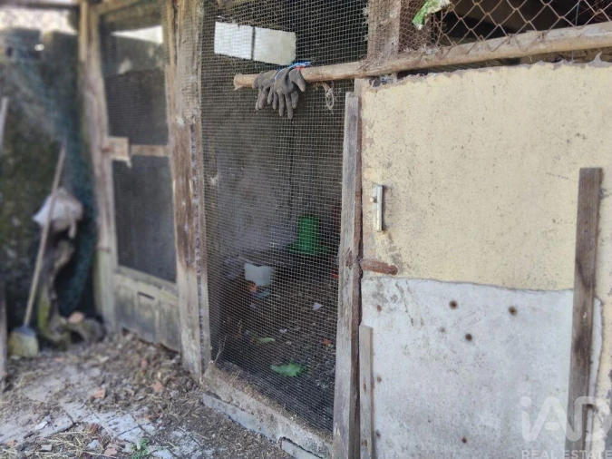 Moradia T2 para Venda em Castanheira de Pêra e Coentral Foto 16