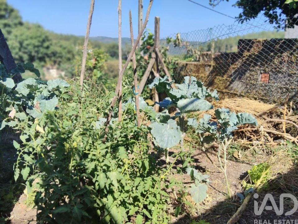 Moradia T2 para Venda em Castanheira de Pêra e Coentral Foto 15