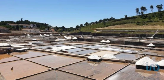 Terreno para Venda em Rio Maior