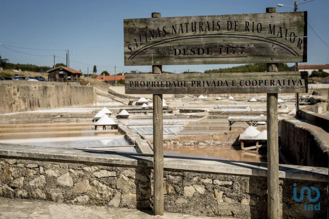 Terreno para Venda em Rio Maior Foto 11