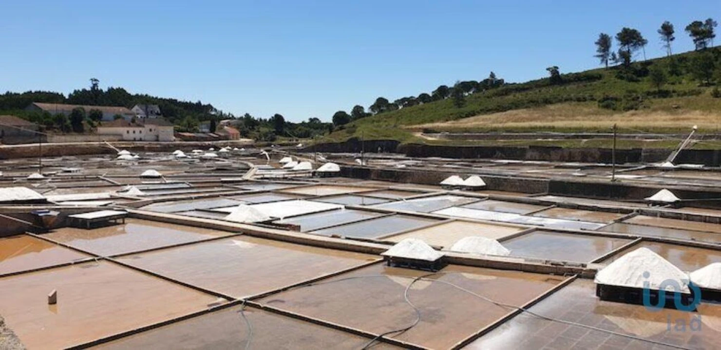 Terreno para Venda em Rio Maior Foto 12