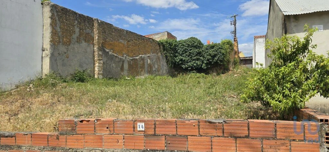 Terreno para Venda em Rio Maior Foto 3