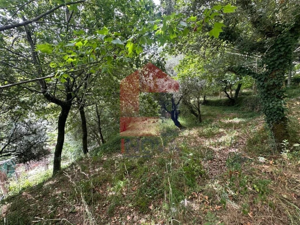 Terreno para Venda em Valdosende Foto 11