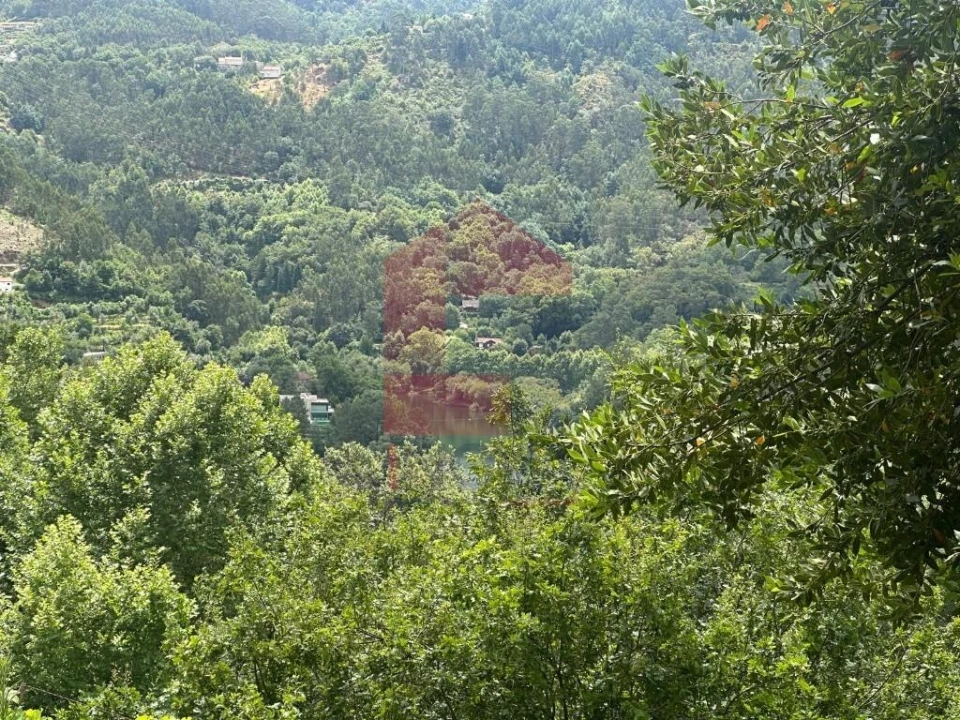 Terreno para Venda em Valdosende Foto 7
