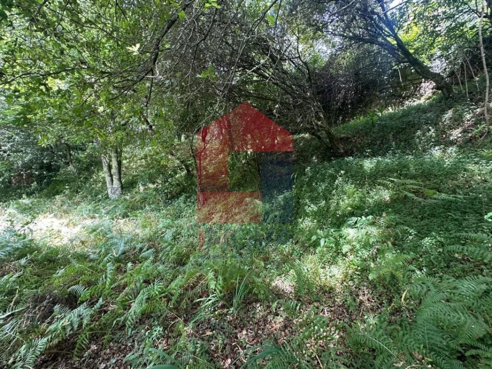 Terreno para Venda em Valdosende Foto 10