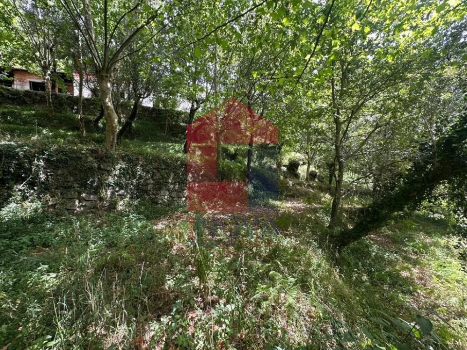 Terreno para Venda em Valdosende Foto 2