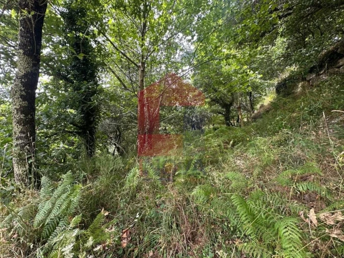 Terreno para Venda em Valdosende Foto 17
