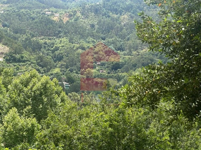 Terreno para Venda em Valdosende Foto 1