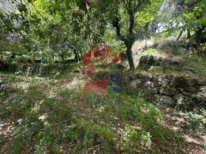 Terreno para Venda em Valdosende Foto 5