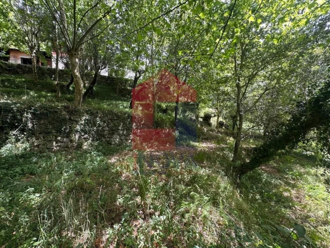 Terreno para Venda em Valdosende Foto 6