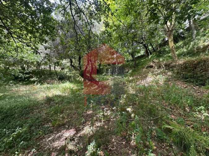 Terreno para Venda em Valdosende Foto 15