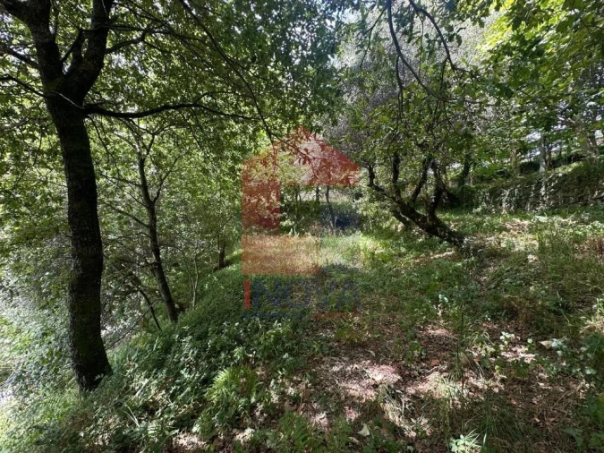 Terreno para Venda em Valdosende Foto 14