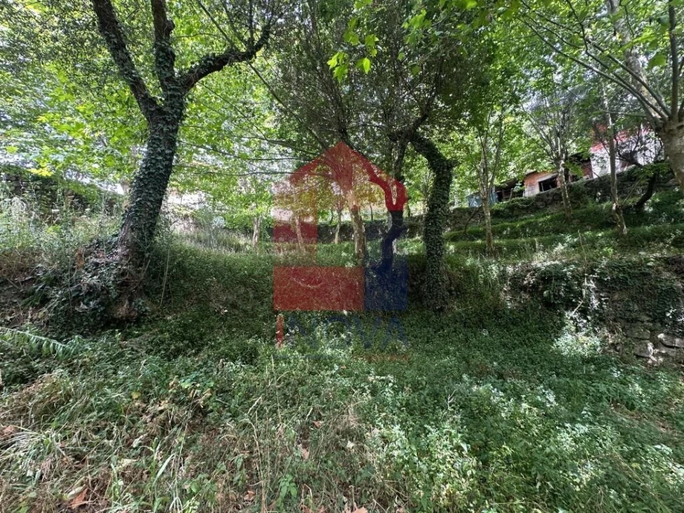 Terreno para Venda em Valdosende Foto 12