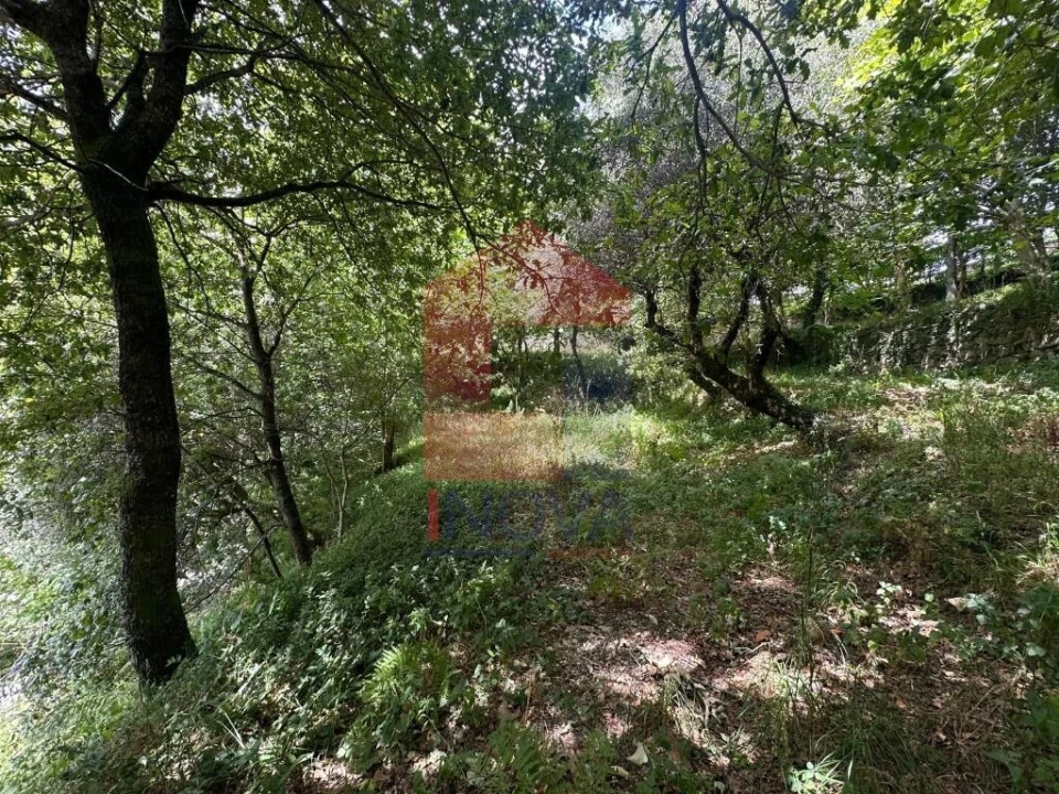 Terreno para Venda em Valdosende Foto 14
