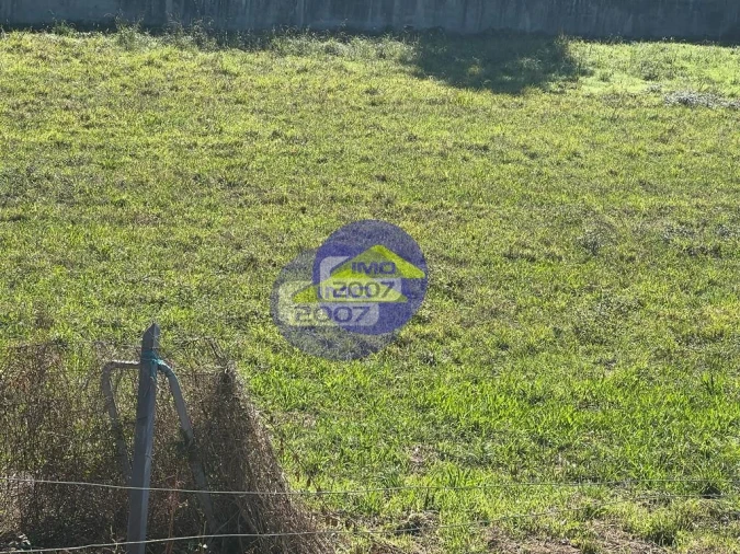 Terreno para Venda em Nogueira da Regedoura Foto 5