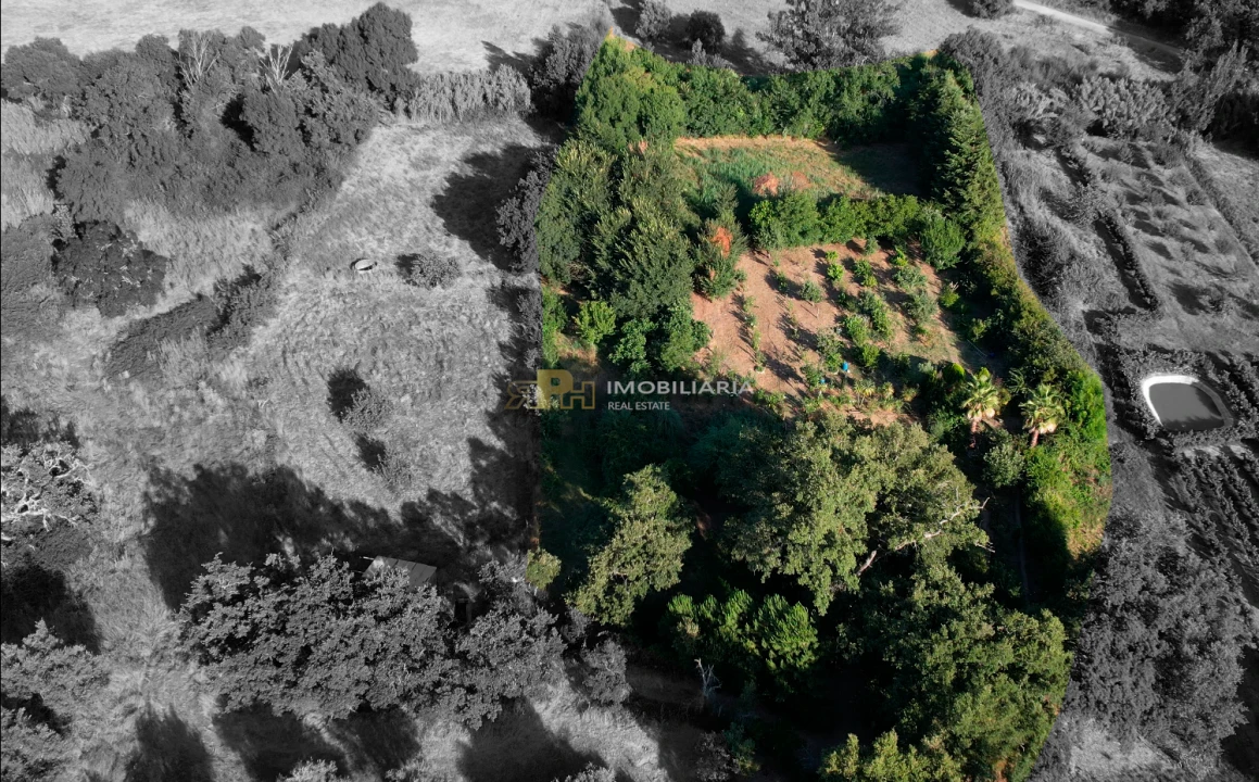 Terreno Agricola ou Rústico para Venda em Arneiro das Milhariças Foto 3