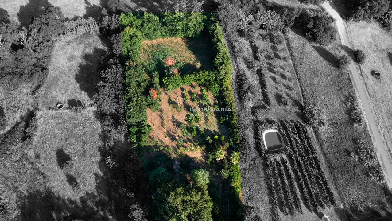 Terreno Agricola ou Rústico para Venda em Arneiro das Milhariças Foto 4