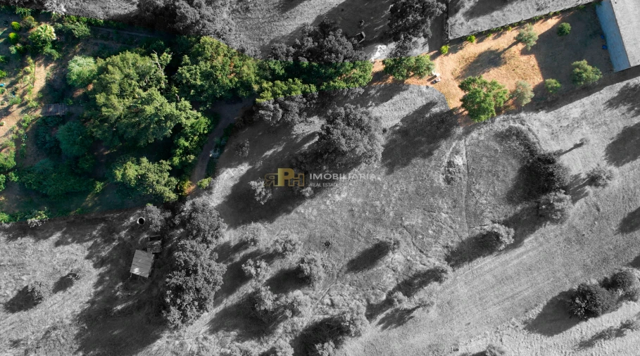 Terreno Agricola ou Rústico para Venda em Arneiro das Milhariças Foto 2