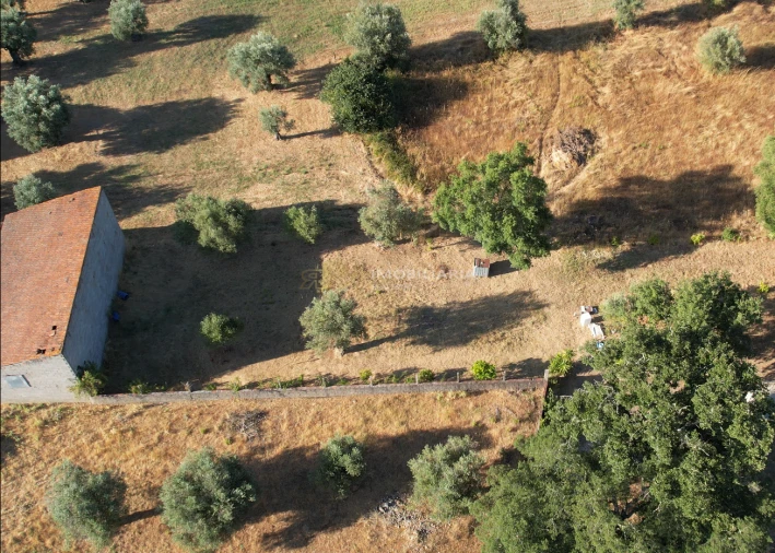 Terreno Agricola ou Rústico para Venda em Arneiro das Milhariças