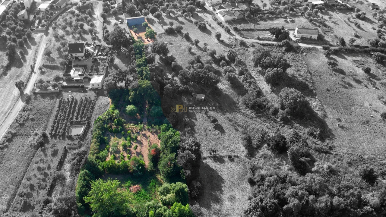Terreno Agricola ou Rústico para Venda em Arneiro das Milhariças Foto 5