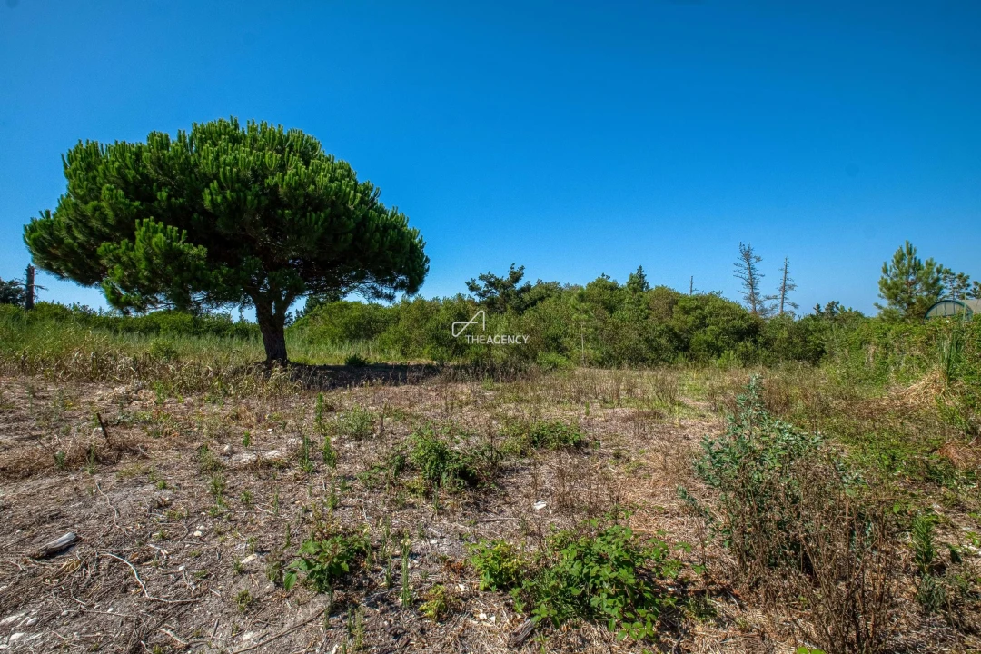 Terreno para Venda em Vau Foto 8