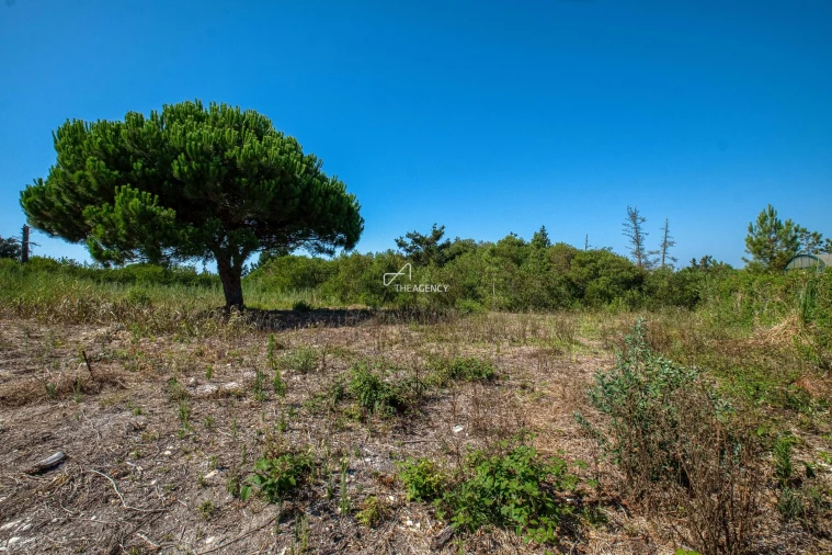 Terreno para Venda em Vau Foto 8