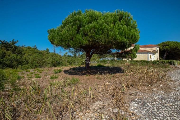 Terreno para Venda em Vau Foto 9