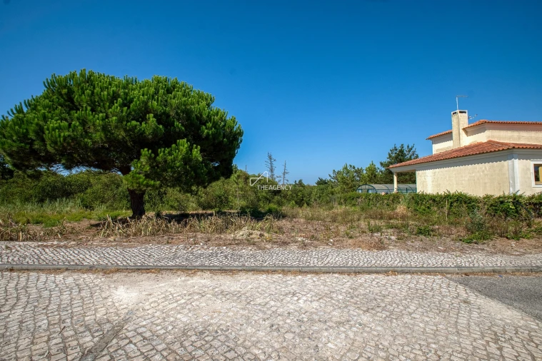 Terreno para Venda em Vau Foto 10