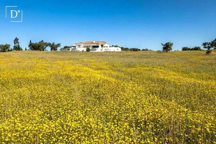 Moradia T4 para Venda em Ourique Foto 27