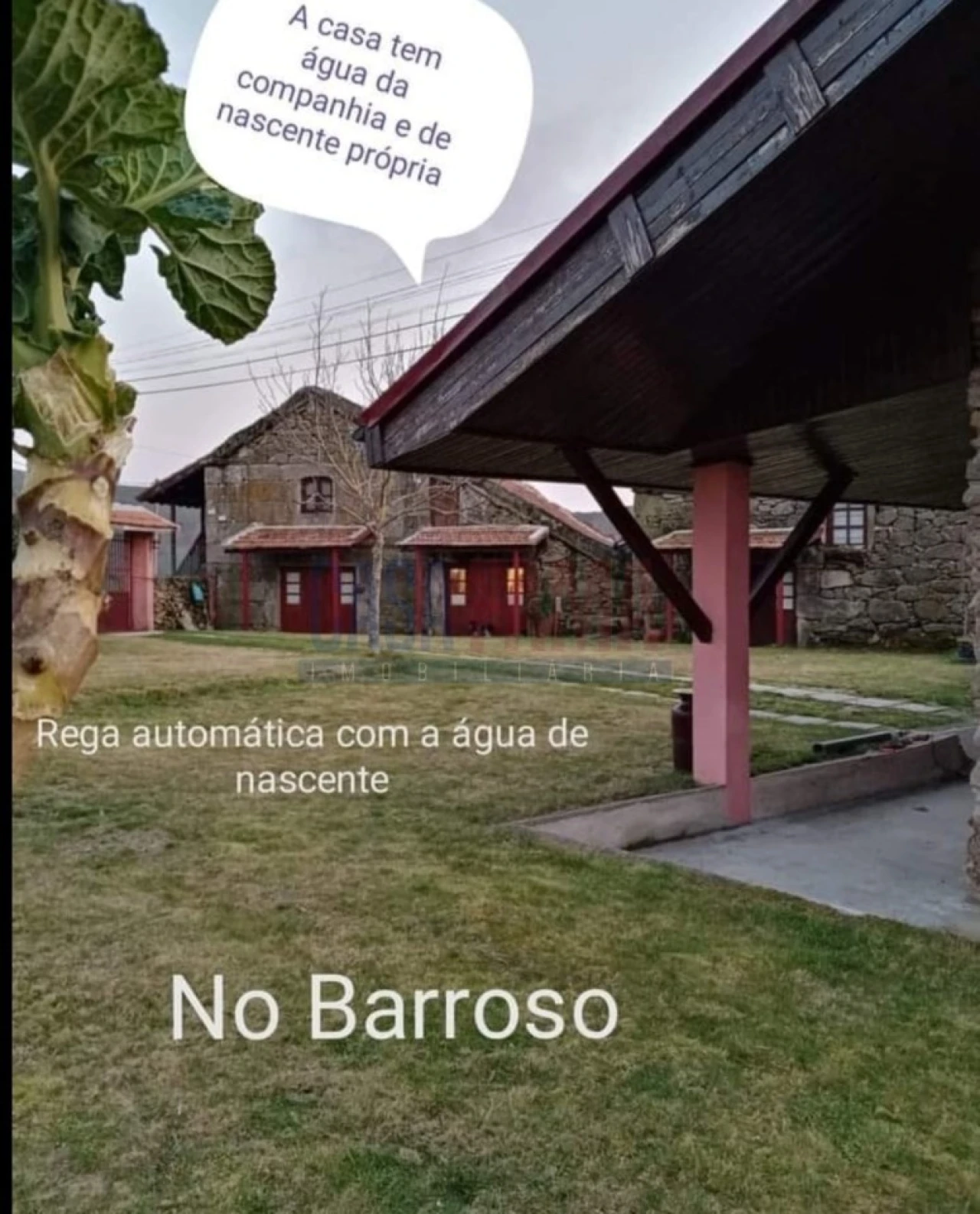 Moradia T4 para Venda em Vilar e Viveiro Foto 1