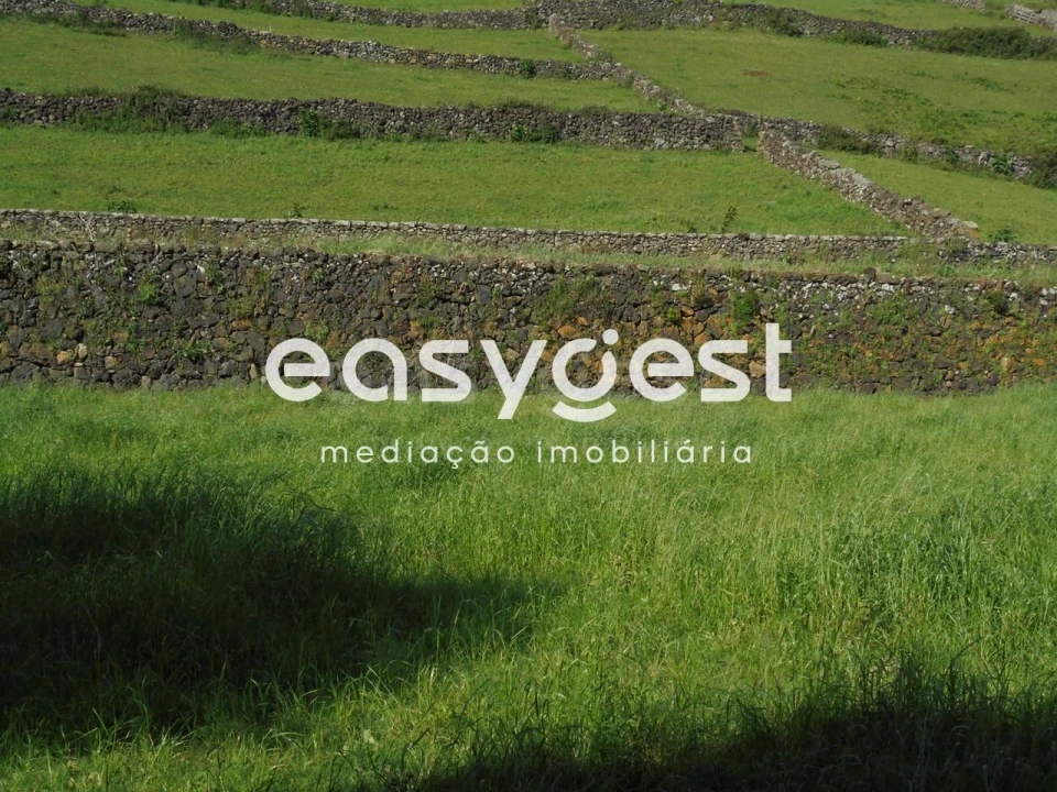 Terreno Agricola ou Rústico para Venda em Terra Chã Foto 2