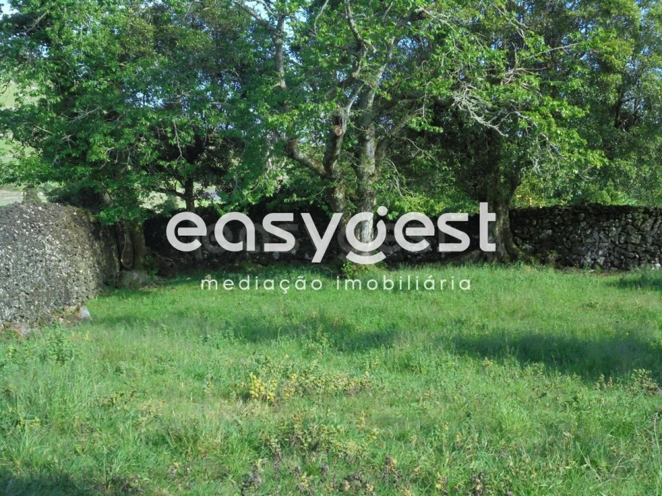 Terreno Agricola ou Rústico para Venda em Terra Chã Foto 9