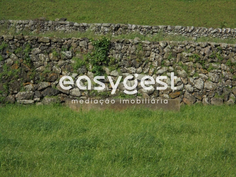 Terreno Agricola ou Rústico para Venda em Terra Chã Foto 10