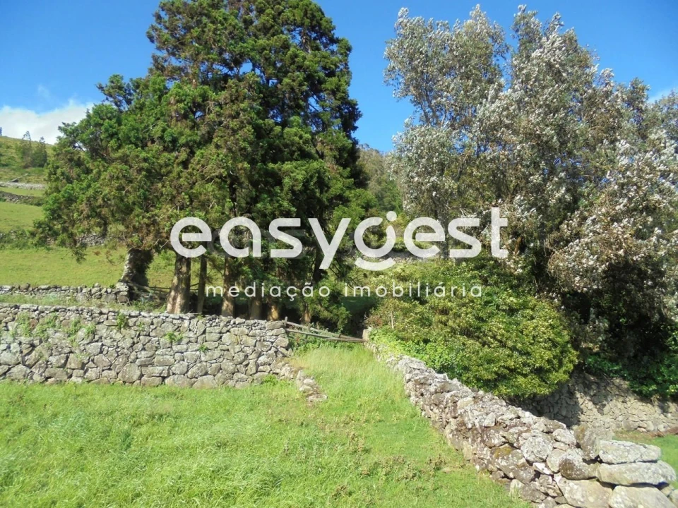 Terreno Agricola ou Rústico para Venda em Terra Chã Foto 15