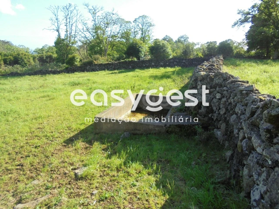 Terreno Agricola ou Rústico para Venda em Terra Chã Foto 18
