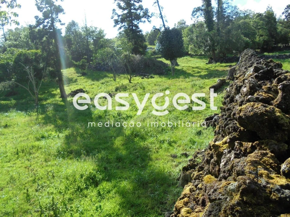 Terreno Agricola ou Rústico para Venda em Terra Chã Foto 20