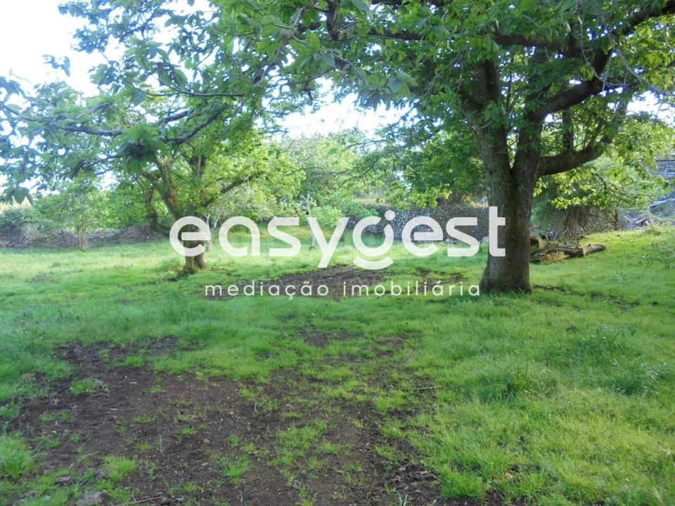 Terreno Agricola ou Rústico para Venda em Terra Chã Foto 26