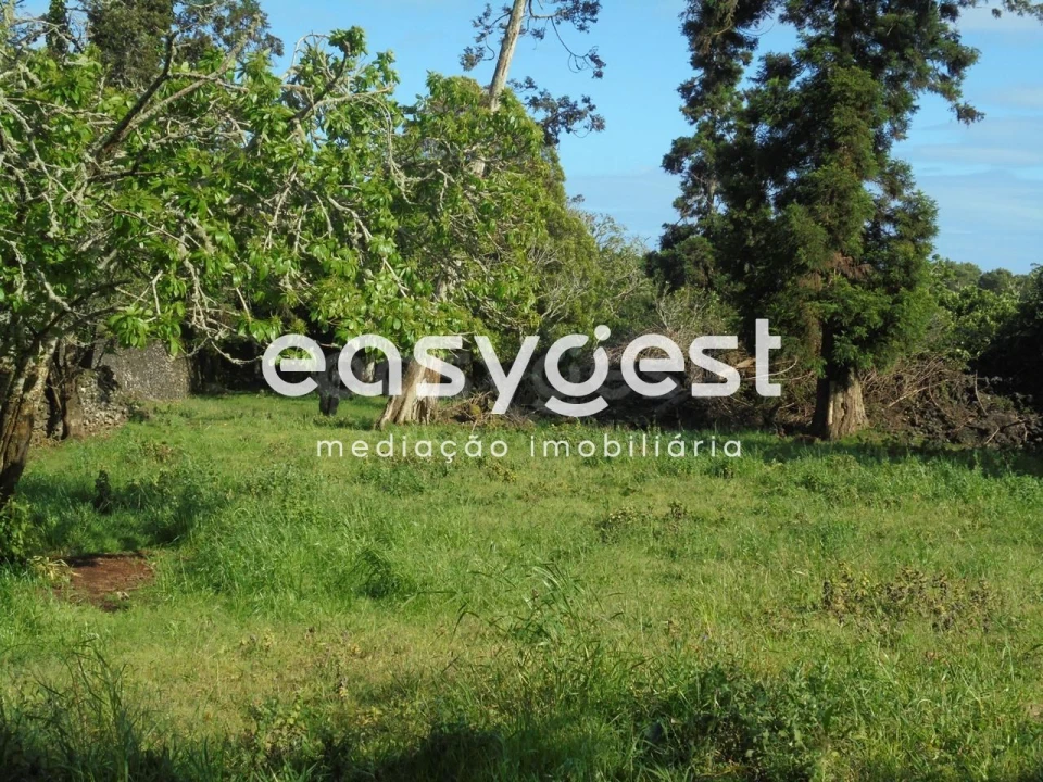 Terreno Agricola ou Rústico para Venda em Terra Chã Foto 31
