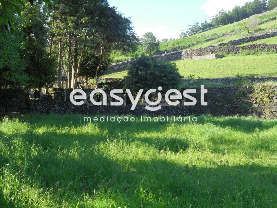 Terreno Agricola ou Rústico para Venda em Terra Chã Foto 32