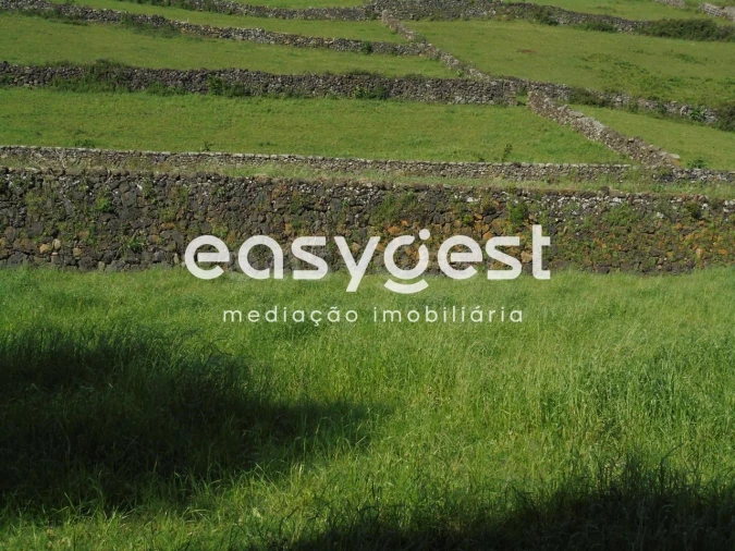 Terreno Agricola ou Rústico para Venda em Terra Chã Foto 2