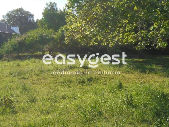 Terreno Agricola ou Rústico para Venda em Terra Chã Foto 4