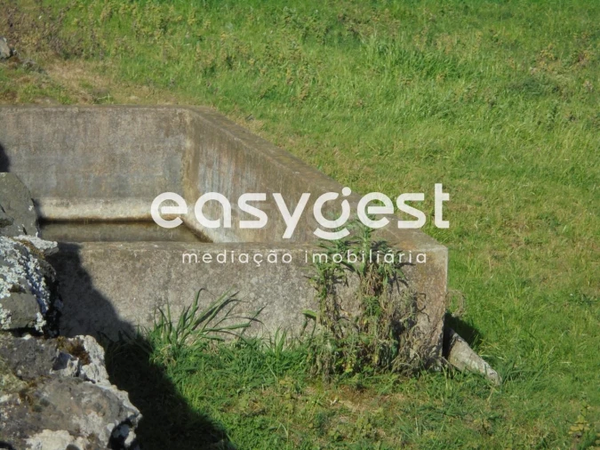 Terreno Agricola ou Rústico para Venda em Terra Chã Foto 11