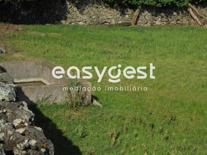 Terreno Agricola ou Rústico para Venda em Terra Chã Foto 12